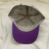 NASA Hat