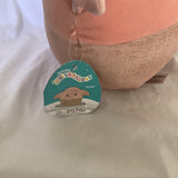 Squishmallows Harry Potter “Dobby” Plush