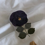 Longwood Gardens Dried Flower Bookmark