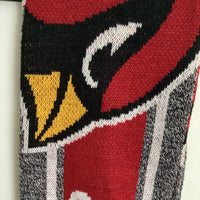 Foco Arizona Cardinals Scarf