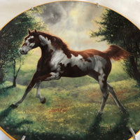 ‘Painted Sunrise’ Wild Horse Painting Decorative Plate By Chuck Dehaan