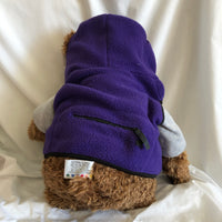 Gund Wish Bear 2000-2001 Purple Jacket