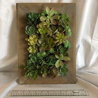 Faux Succulent Filled Wall Frame