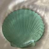 Seashell Glass Decor