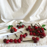 Decorative Cherries