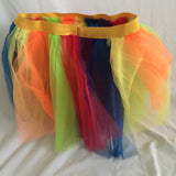 Way To Celebrate Pride 2PC Bundle Striped Tutu & Wig Set