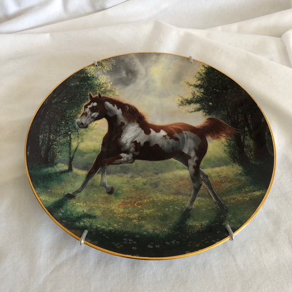 ‘Painted Sunrise’ Wild Horse Painting Decorative Plate By Chuck Dehaan