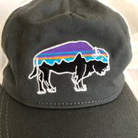 Patagonia Hat