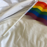 Mini LGBT+ Flag