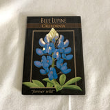 Blue Lupine of California Flower Magnet