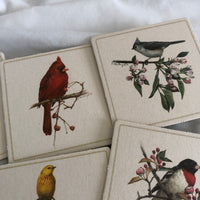 Painted Birds on Branches Cardboard Coasters - Set Of 8