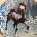 ‘Winter Renegade’ Wild Horse Painting Decorative Plate By Chuck Dehaan