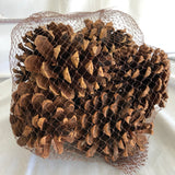 Dry Cinnamon Scented Pine Cones