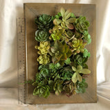 Faux Succulent Filled Wall Frame