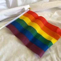 Mini LGBT+ Flag