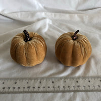 Pumpkin Decor - Set of 2