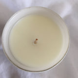 Sand & Fog - Limoncello 1 Wick Candle 4 OZ