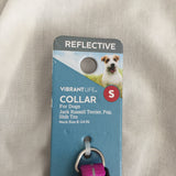 Reflective Vibrant Life Dog Collar- Size Sm