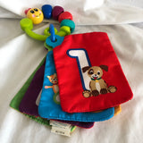 Baby Einstein Key Ring Cloth Book