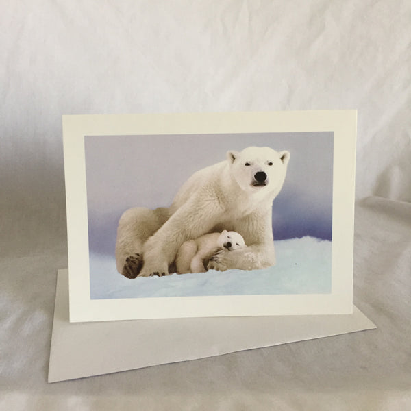 Polar Bear Card -Envelope Included