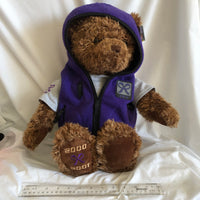 Gund Wish Bear 2000-2001 Purple Jacket