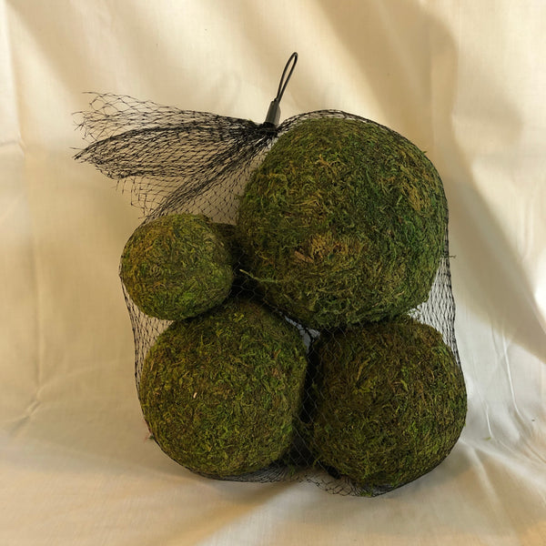 Moss Balls