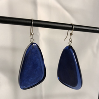 Blue Bead Drop Earrings