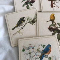 Painted Birds on Branches Cardboard Coasters - Set Of 8