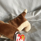 TY Beanie Baby - Tracker