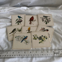 Painted Birds on Branches Cardboard Coasters - Set Of 8