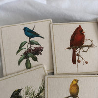 Painted Birds on Branches Cardboard Coasters - Set Of 8