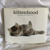 ‘Kittenhood‘ By Sarah Beth Ernhart