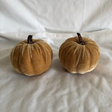 Pumpkin Decor - Set of 2
