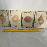 Charlene Audrey 2005 Seashell Wall Art Decor Set Of 4