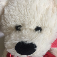 Valentine Plush Bear