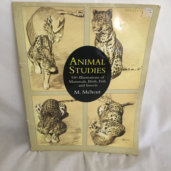 Animal Studies By: M. Meheut