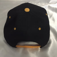 Pittsburgh Steelers SnapBack Hat