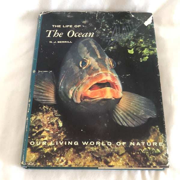 'The Life of the Ocean, Our Living World of Nature' by N. J. Berrill