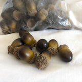 Acorns for Crafting
