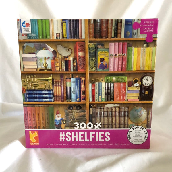 Bookshelf Puzzle