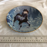 ‘Winter Renegade’ Wild Horse Painting Decorative Plate By Chuck Dehaan