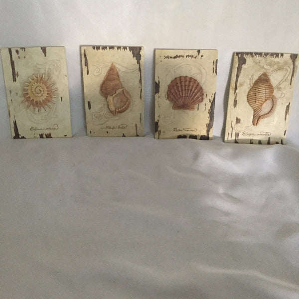 Charlene Audrey 2005 Seashell Wall Art Decor Set Of 4