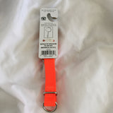 Hatfield Safety Dog Collar- Size Med