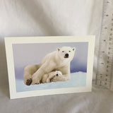 Polar Bear Card -Envelope Included