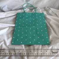 Polka Dot Gift Bag