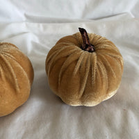 Pumpkin Decor - Set of 2