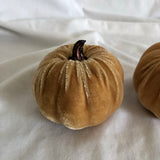 Pumpkin Decor - Set of 2