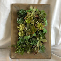 Faux Succulent Filled Wall Frame