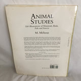 Animal Studies By: M. Meheut