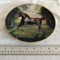 ‘Painted Sunrise’ Wild Horse Painting Decorative Plate By Chuck Dehaan